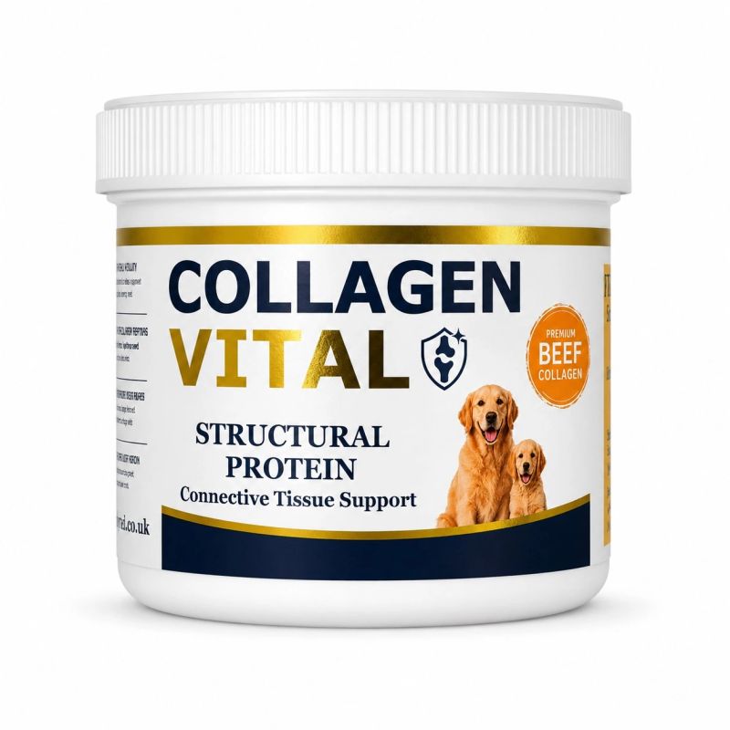 Canine Vita Collagen Vital powder in its original labelled tub